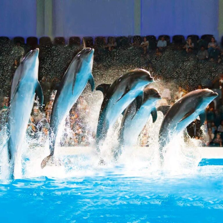 000000000000000000000000000000