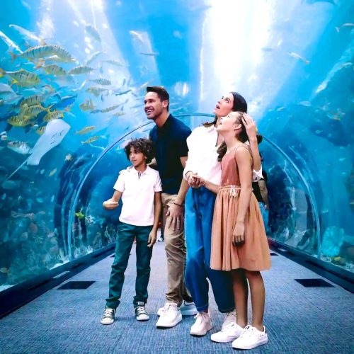 0000000000000000000000